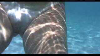 Mafana zana-borona ao ny f, ny rano tao porto da barra bahia, salvador