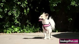 Un chikitu mucha tratado hañ&#039;é di nan kachó di e tereno di skol bo vecinos.Su bisiña kier ta un rekompensa, ta kita e paña i e biaha garganta di e hendenan bigcock.Un di bisiña a la e tonto i e solo hundu i duru riba bo ta kore riba djé.