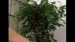 ���ትሮ - Lesbian ወሲብ - ትዕይንት 8 - የተወጣጣ 2